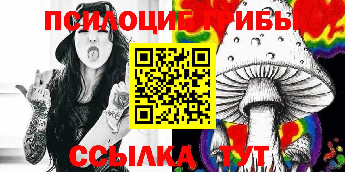 Псилоцибиновые грибы прущие грибы  Вход с VPN  где продают наркотики  Ульяновск 